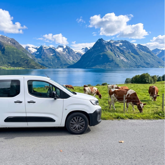 S7 Electric Peugeot Smart Campervan Automatic, Category B