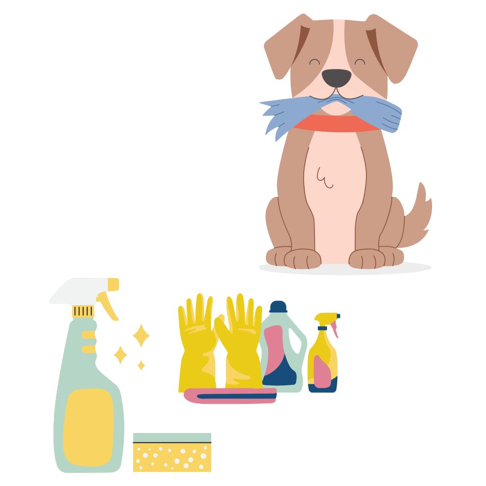 Cleaning of the vehicle after pets
